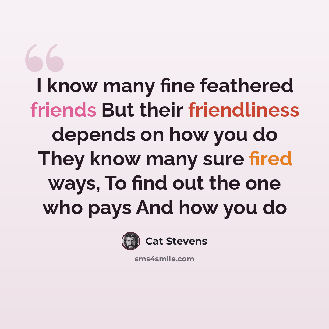 “I know many fine feathered friends But their friendliness depends on how you do They know many sure fired ways, To find out the one who pays And how you do” quote by Cat Stevens