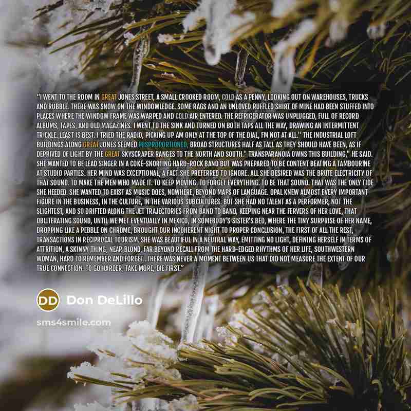 “I went to the room in Great Jones Street, a small crooked room, cold as a penny, looking out on warehouses, trucks and rubble. There was snow on the windowledge. Some rags and an unloved ruffled shirt of mine had been stuffed into places where the window frame was warped and cold air entered. The…” quote by Don DeLillo