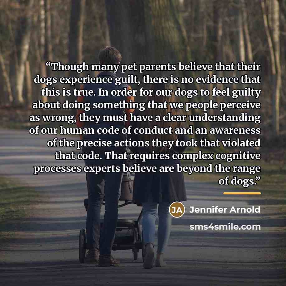 “Though many pet parents believe that their dogs experience guilt, there is no evidence that this is true. In order for our dogs to feel guilty about doing something that we people perceive as wrong, they must have a clear understanding of our human code of conduct and an awareness of the precise…” quote by Jennifer Arnold