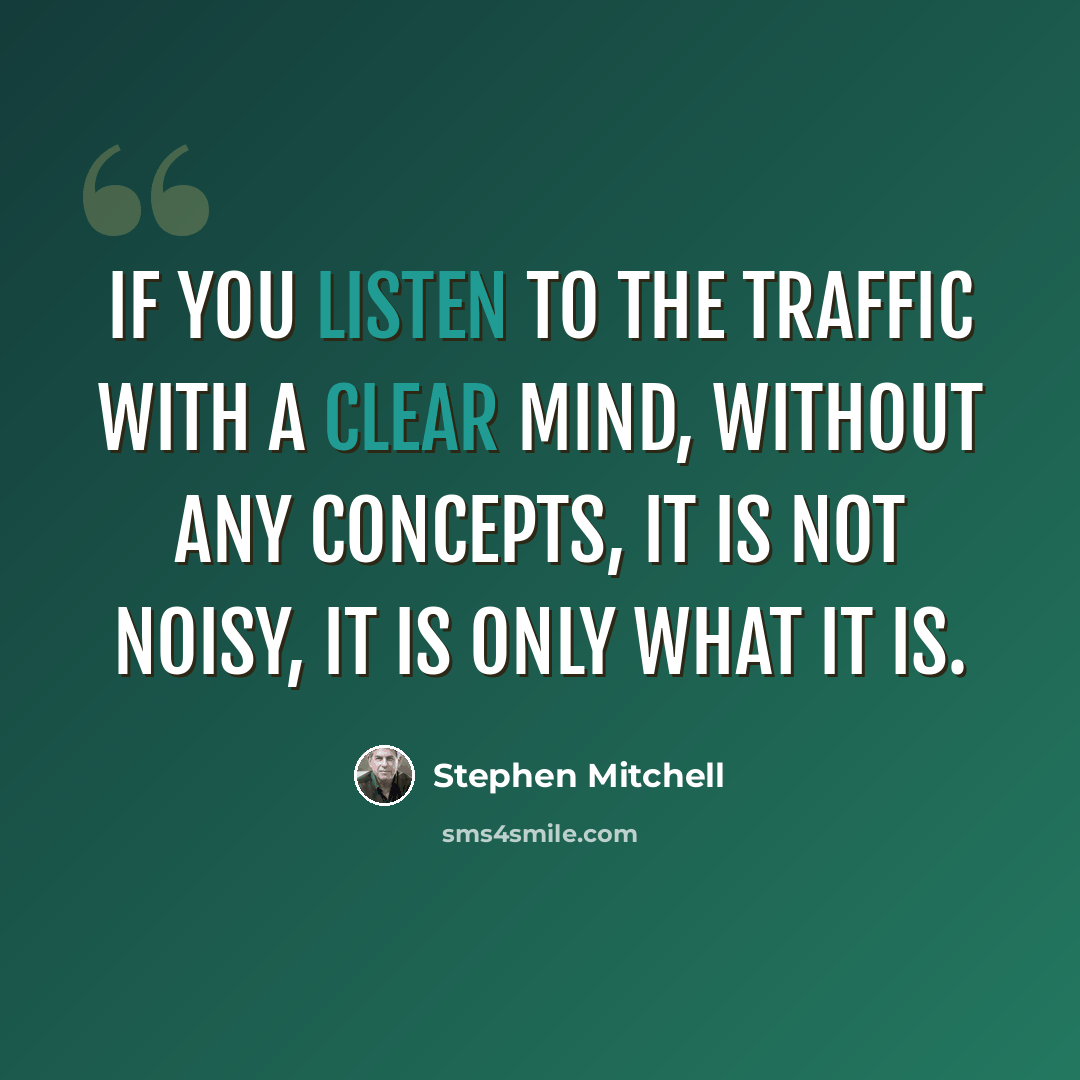 “If you listen to the traffic with a clear mind, without any concepts, it is not noisy, it is only what it is.” quote by Stephen Mitchell