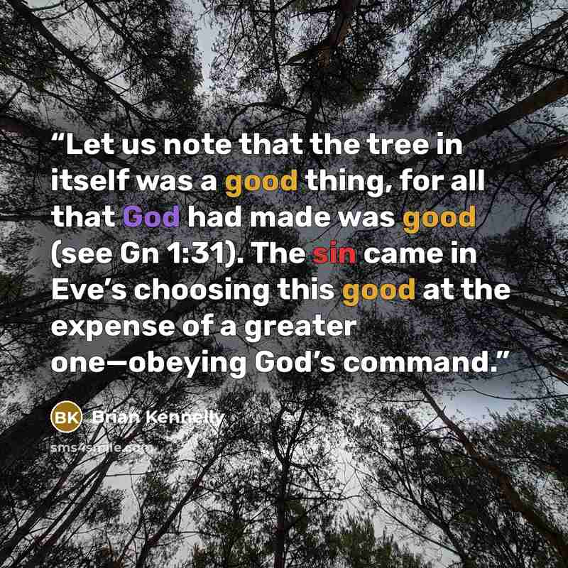 “Let us note that the tree in itself was a good thing, for all that God had made was good (see Gn 1:31). The sin came in Eve’s choosing this good at the expense of a greater one—obeying God’s command.” quote by Brian Kennelly