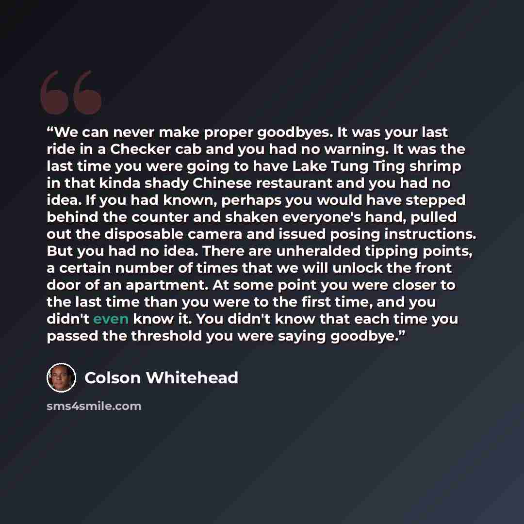 “We can never make proper goodbyes. It was your last ride in a Checker cab and you had no warning. It was the last time you were going to have Lake Tung Ting shrimp in that kinda shady Chinese restaurant and you had no idea. If you had known, perhaps you would have stepped behind the counter and…” quote by Colson Whitehead