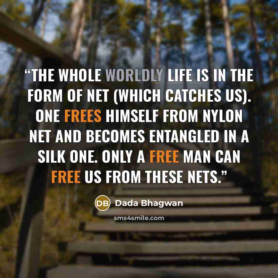 “The whole worldly life is in the form of net (which catches us). One frees himself from nylon net and becomes entangled in a silk one. Only a free man can free us from these nets.” quote by Dada Bhagwan