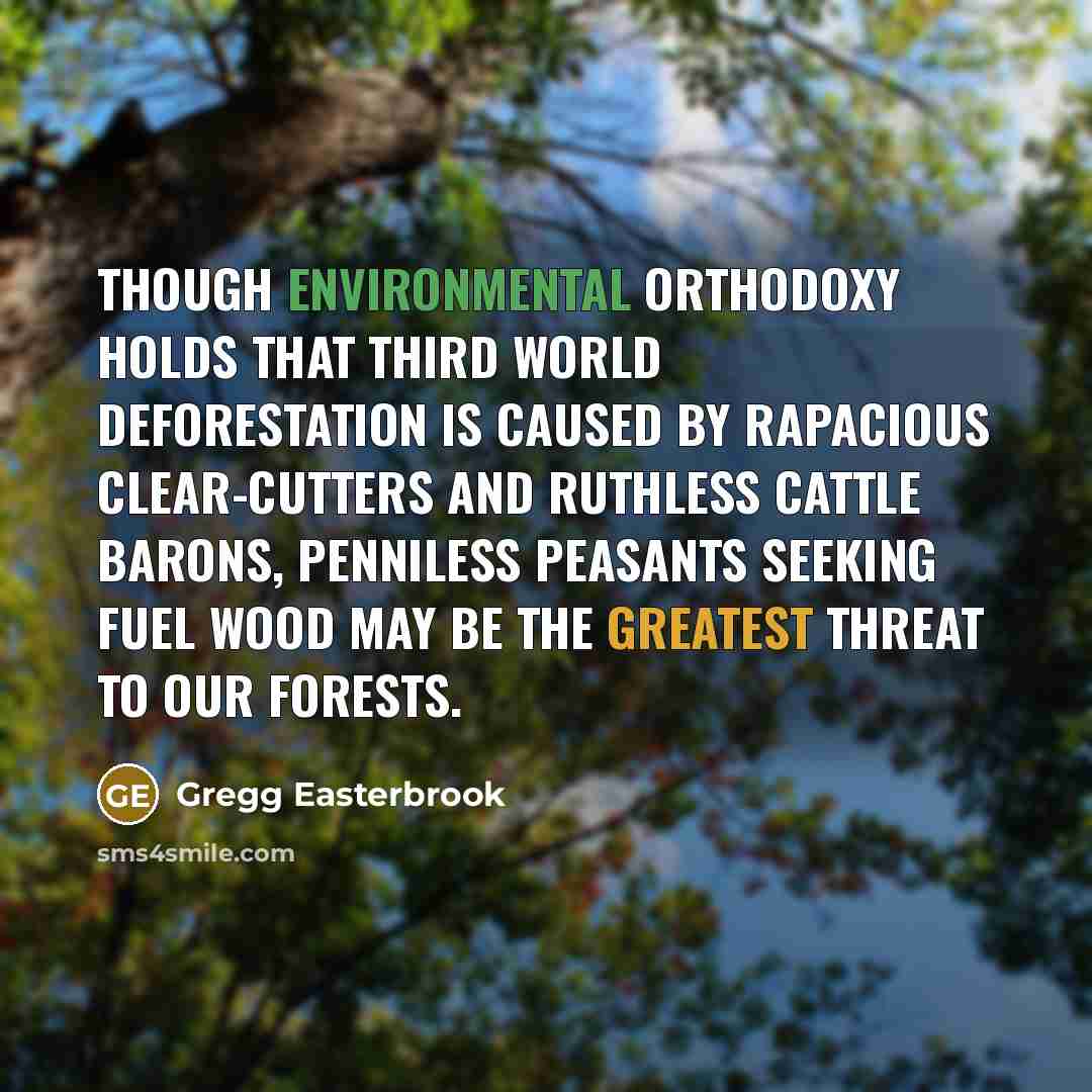 “Though environmental orthodoxy holds that Third World deforestation is caused by rapacious clear-cutters and ruthless cattle barons, penniless peasants seeking fuel wood may be the greatest threat to our forests.” quote by Gregg Easterbrook