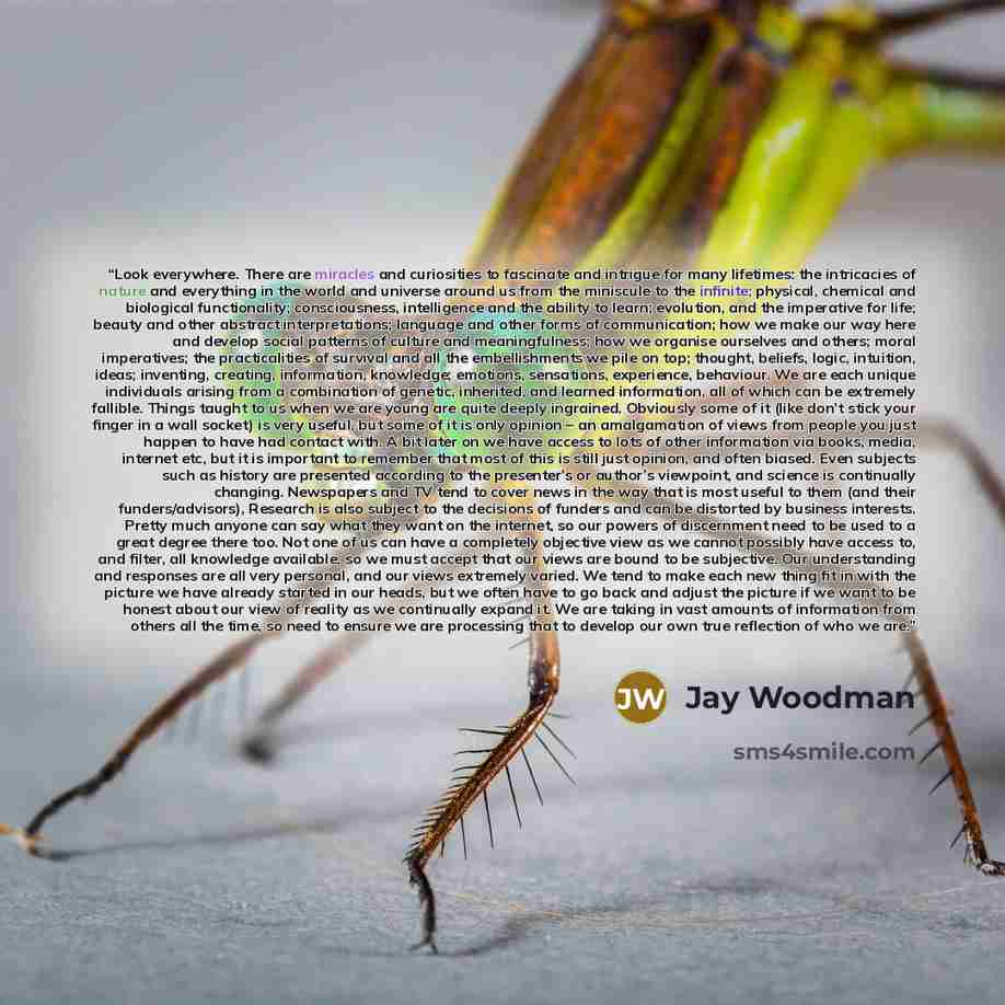 “Look everywhere. There are miracles and curiosities to fascinate and intrigue for many lifetimes: the intricacies of nature and everything in the world and universe around us from the miniscule to the infinite; physical, chemical and biological functionality; consciousness, intelligence and the…” quote by Jay Woodman