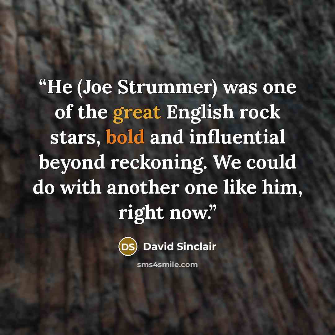 “He (Joe Strummer) was one of the great English rock stars, bold and influential beyond reckoning. We could do with another one like him, right now.” quote by David Sinclair