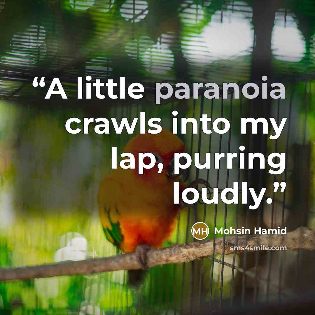 “A little paranoia crawls into my lap, purring loudly.” quote by Mohsin Hamid