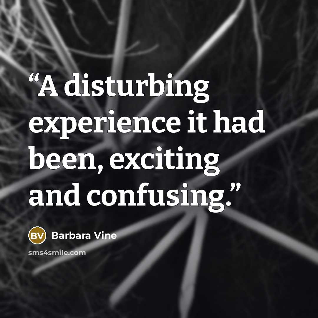“A disturbing experience it had been, exciting and confusing.” quote by Barbara Vine
