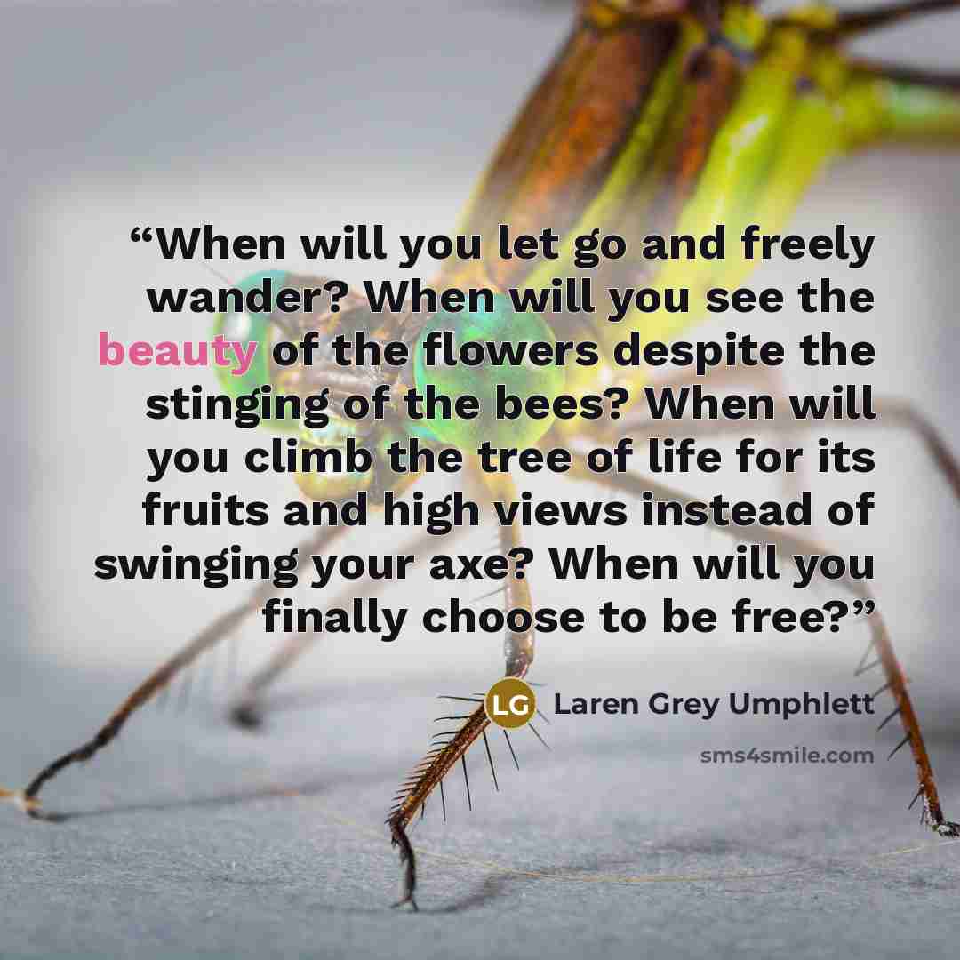 “When will you let go and freely wander? When will you see the beauty of the flowers despite the stinging of the bees? When will you climb the tree of life for its fruits and high views instead of swinging your axe? When will you finally choose to be free?” quote by Laren Grey Umphlett