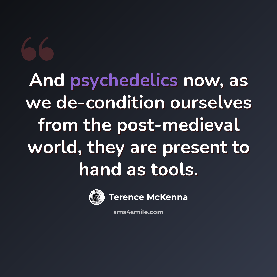 “And psychedelics now, as we de-condition ourselves from the post-medieval world, they are present to hand as tools.” quote by Terence McKenna