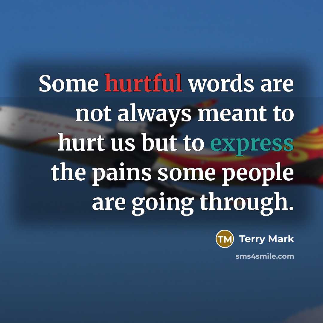 “Some hurtful words are not always meant to hurt us but to express the pains some people are going through.” quote by Terry Mark