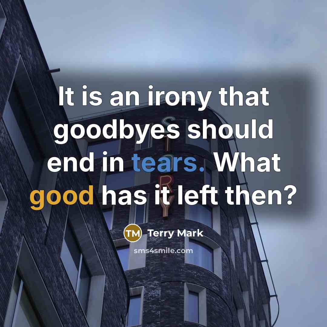 “It is an irony that goodbyes should end in tears. What good has it left then?” quote by Terry Mark