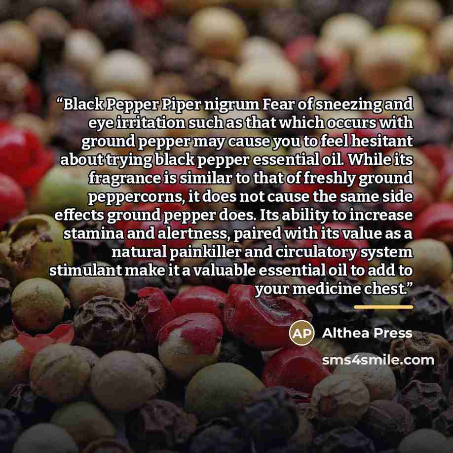 “Black Pepper Piper nigrum Fear of sneezing and eye irritation such as that which occurs with ground pepper may cause you to feel hesitant about trying black pepper essential oil. While its fragrance is similar to that of freshly ground peppercorns, it does not cause the same side effects ground…” quote by Althea Press