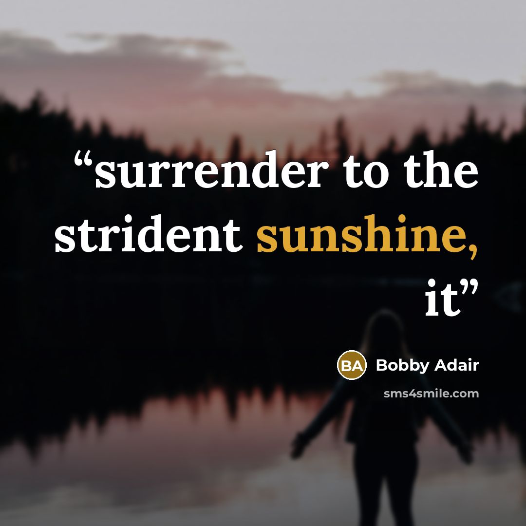 “surrender to the strident sunshine, it” quote by Bobby Adair