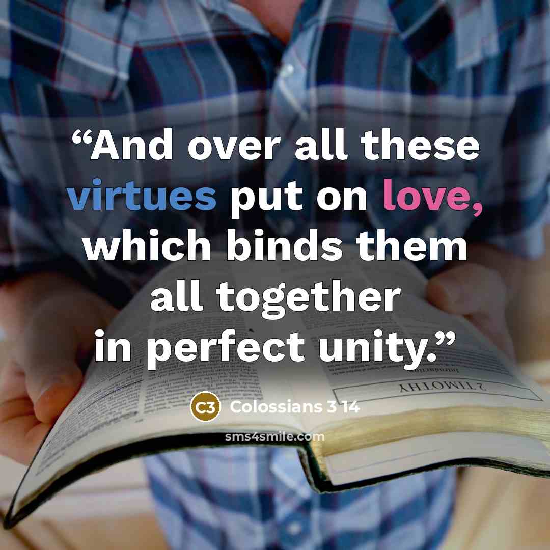 “And over all these virtues put on love, which binds them all together in perfect unity.” quote by Colossians 3 14