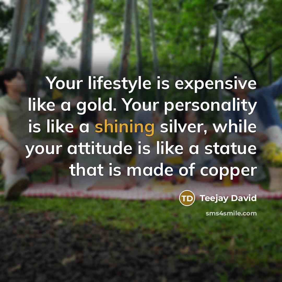 “Your lifestyle is expensive like a gold. Your personality is like a shining silver, while your attitude is like a statue that is made of copper” quote by Teejay David