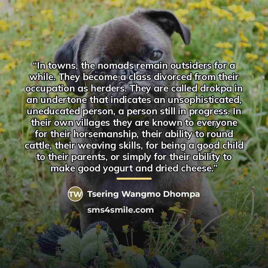 “In towns, the nomads remain outsiders for a while. They become a class divorced from their occupation as herders. They are called drokpa in an undertone that indicates an unsophisticated, uneducated person, a person still in progress. In their own villages they are known to everyone for their…” quote by Tsering Wangmo Dhompa