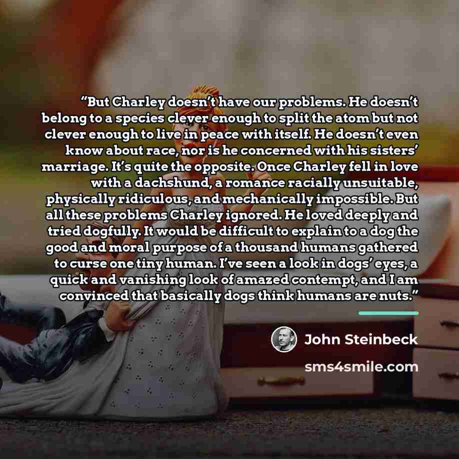 “But Charley doesn’t have our problems. He doesn’t belong to a species clever enough to split the atom but not clever enough to live in peace with itself. He doesn’t even know about race, nor is he concerned with his sisters’ marriage. It’s quite the opposite. Once Charley fell in love with a…” quote by John Steinbeck