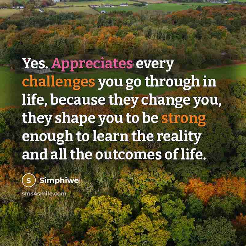 “Yes. Appreciates every challenges you go through in life, because they change you, they shape you to be strong enough to learn the reality and all the outcomes of life.” quote by Simphiwe