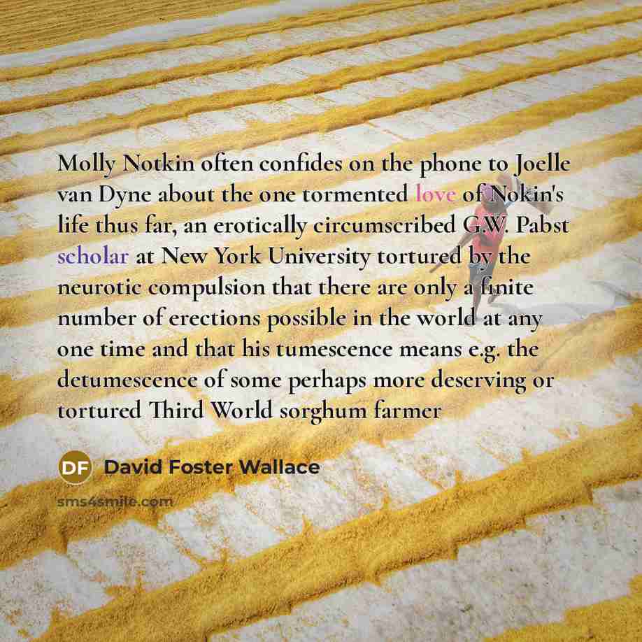 “Molly Notkin often confides on the phone to Joelle van Dyne about the one tormented love of Nokin's life thus far, an erotically circumscribed G.W. Pabst scholar at New York University tortured by the neurotic compulsion that there are only a finite number of erections possible in the world at any…” quote by David Foster Wallace