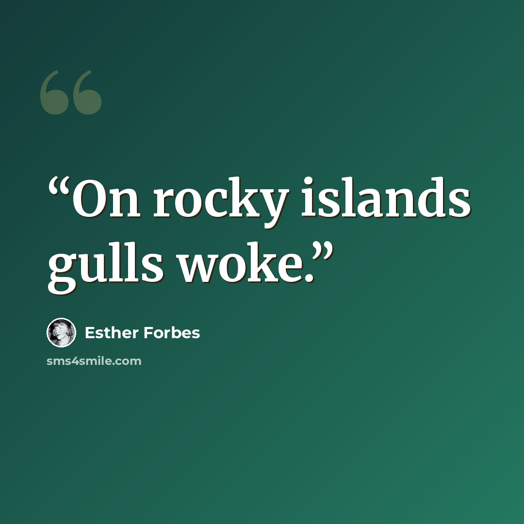 “On rocky islands gulls woke.” quote by Esther Forbes