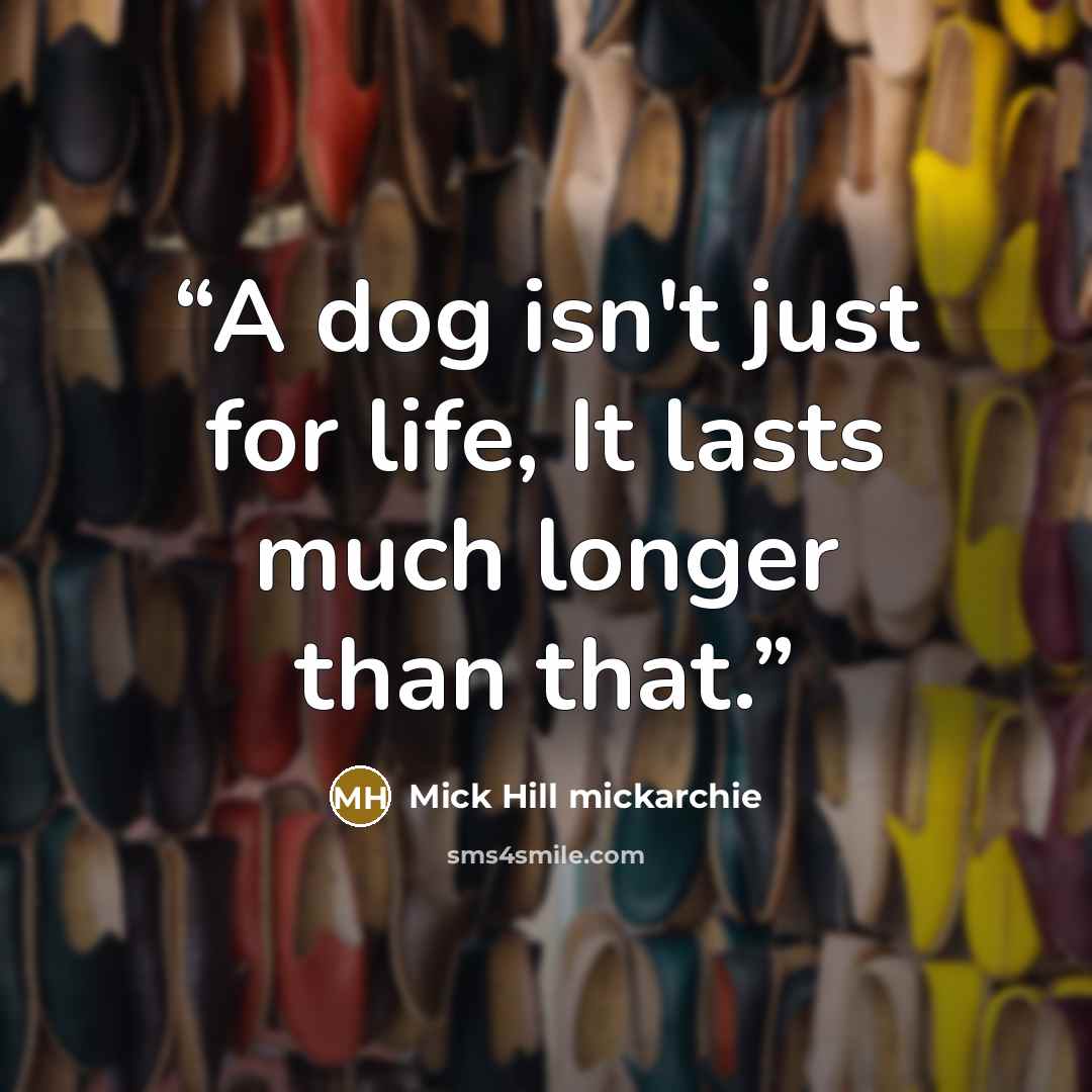 “A dog isn't just for life, It lasts much longer than that.” quote by Mick Hill mickarchie