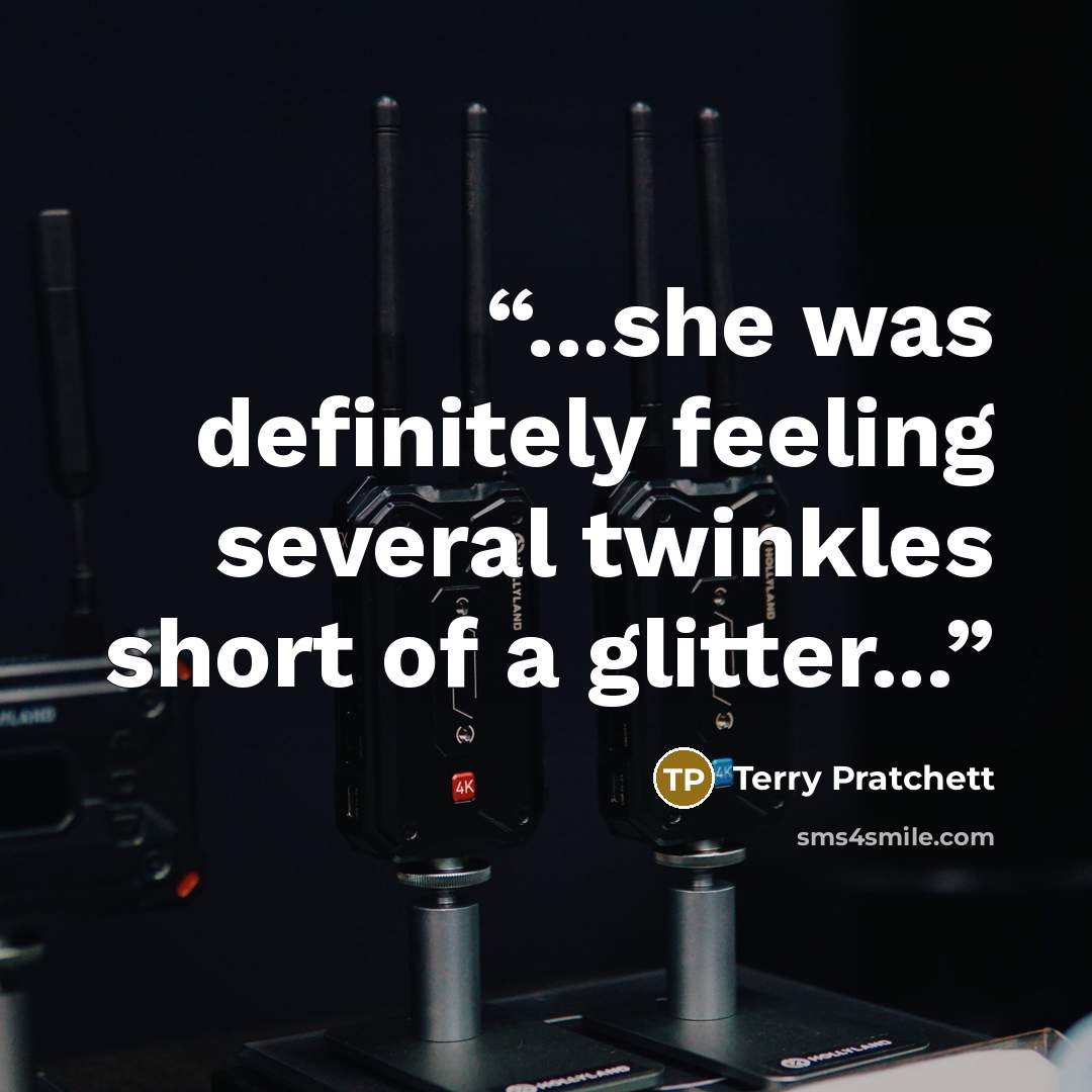 “...she was definitely feeling several twinkles short of a glitter...” quote by Terry Pratchett