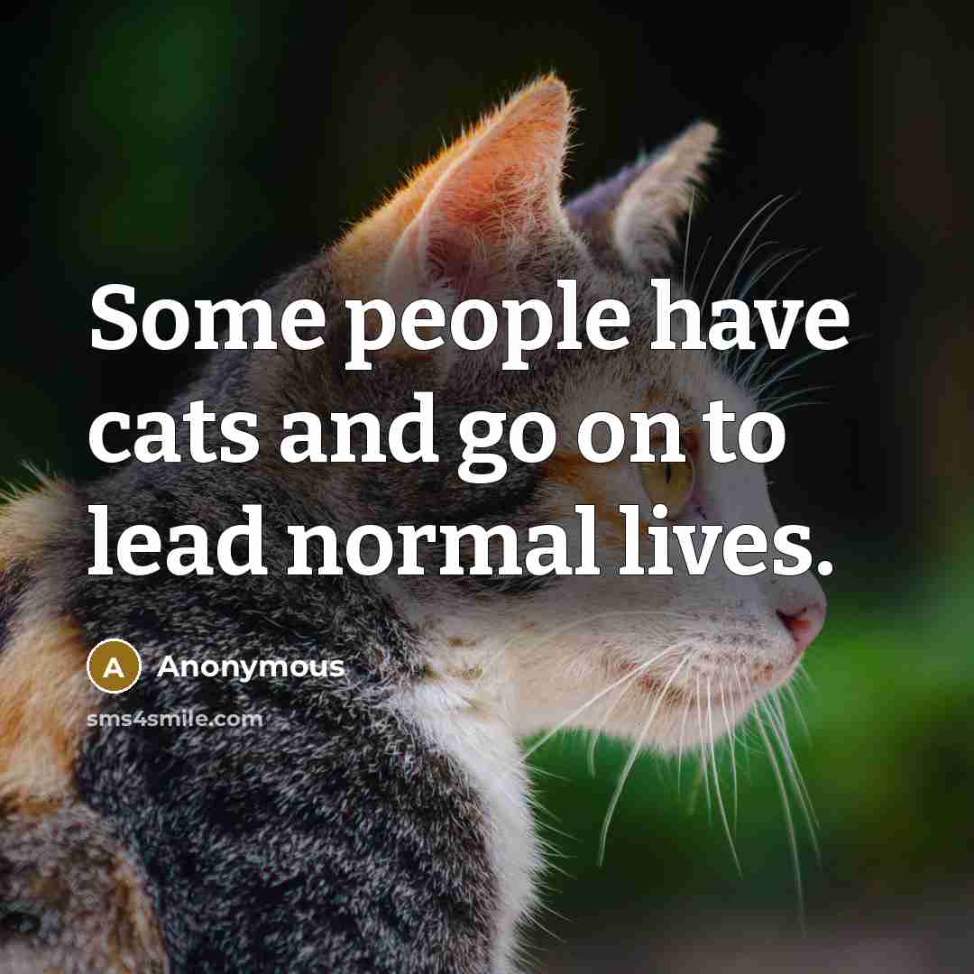 “Some people have cats and go on to lead normal lives.” quote by Anonymous