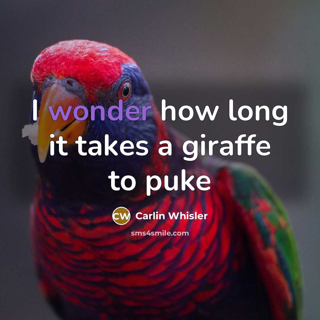 “I wonder how long it takes a giraffe to puke” quote by Carlin Whisler
