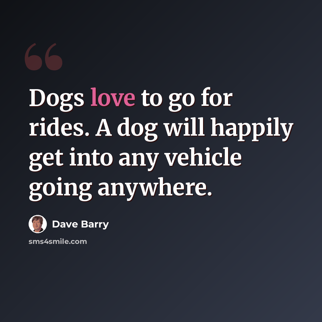 “Dogs love to go for rides. A dog will happily get into any vehicle going anywhere.” quote by Dave Barry