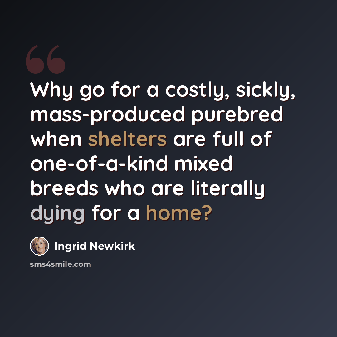 “Why go for a costly, sickly, mass-produced purebred when shelters are full of one-of-a-kind mixed breeds who are literally dying for a home?” quote by Ingrid Newkirk