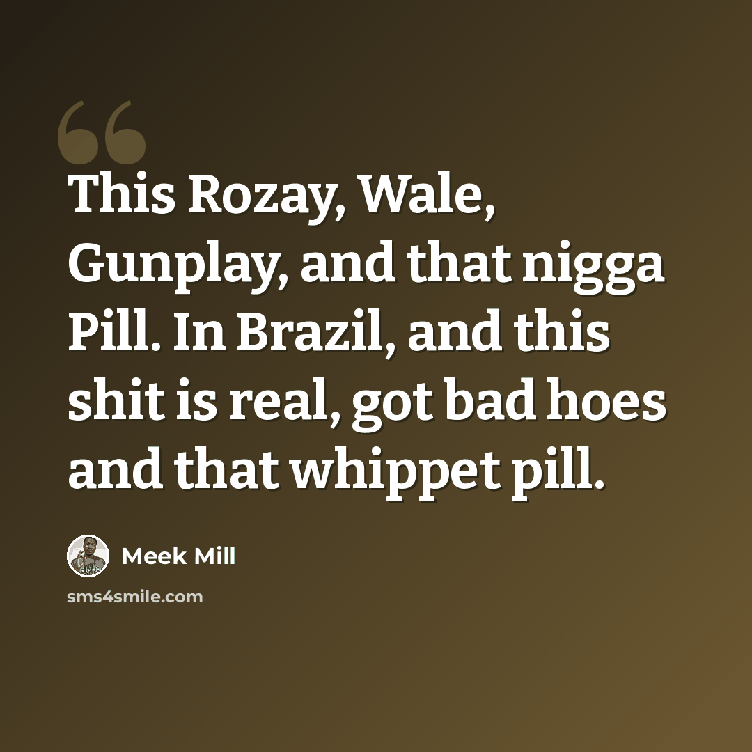 “This Rozay, Wale, Gunplay, and that nigga Pill. In Brazil, and this shit is real, got bad hoes and that whippet pill.” quote by Meek Mill