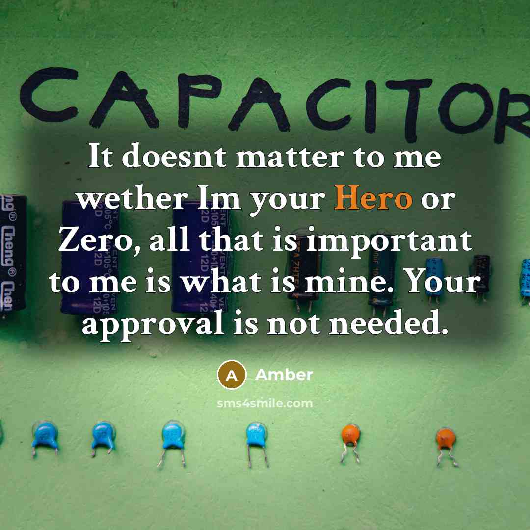 “It doesnt matter to me wether Im your Hero or Zero, all that is important to me is what is mine. Your approval is not needed.” quote by Amber