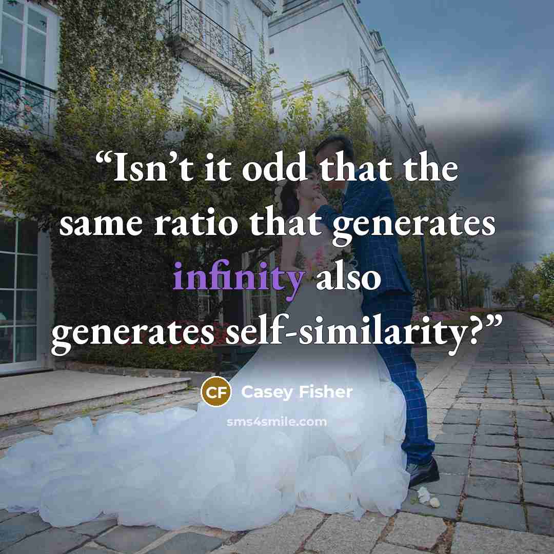 “Isn’t it odd that the same ratio that generates infinity also generates self-similarity?” quote by Casey Fisher