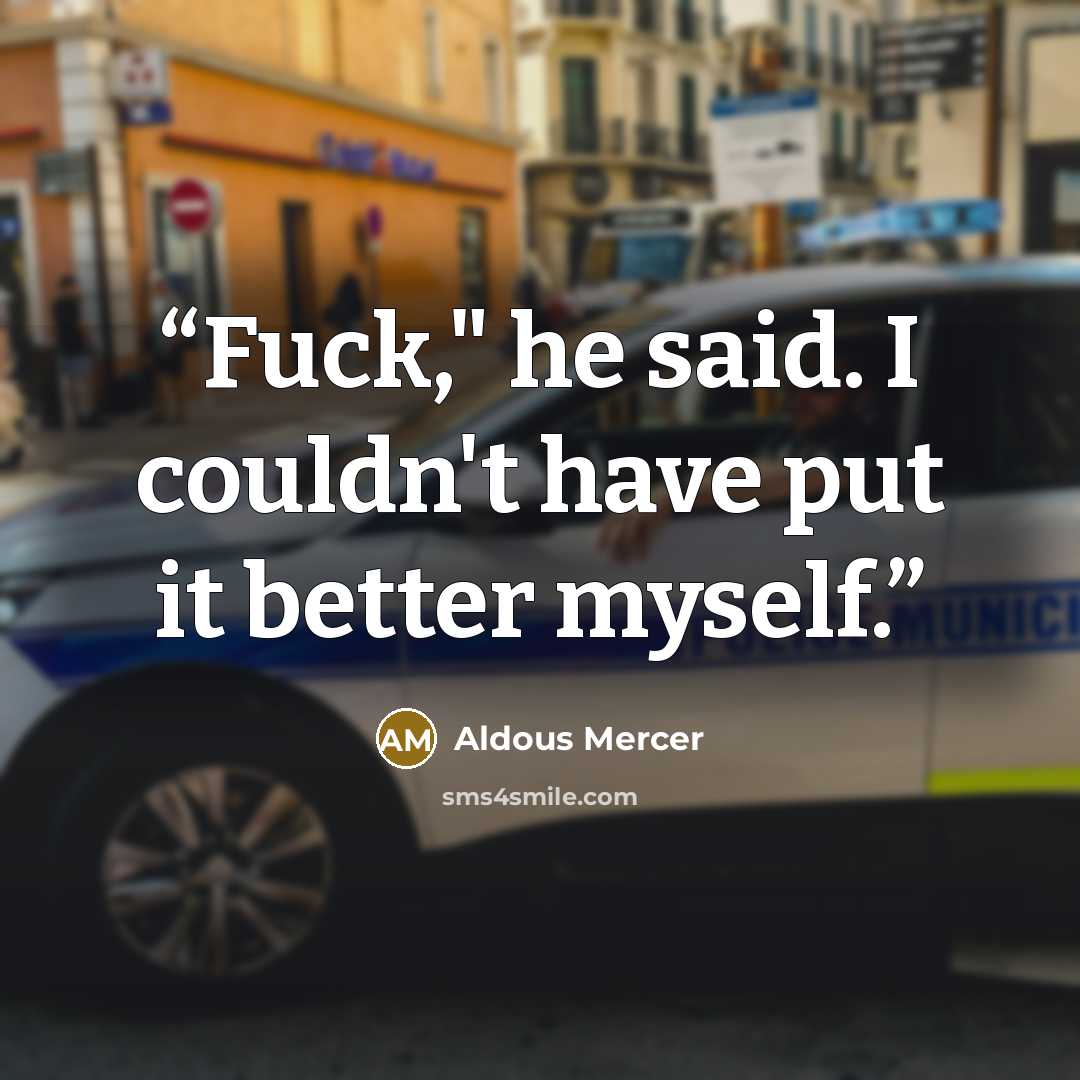 “Fuck," he said. I couldn't have put it better myself.” quote by Aldous Mercer