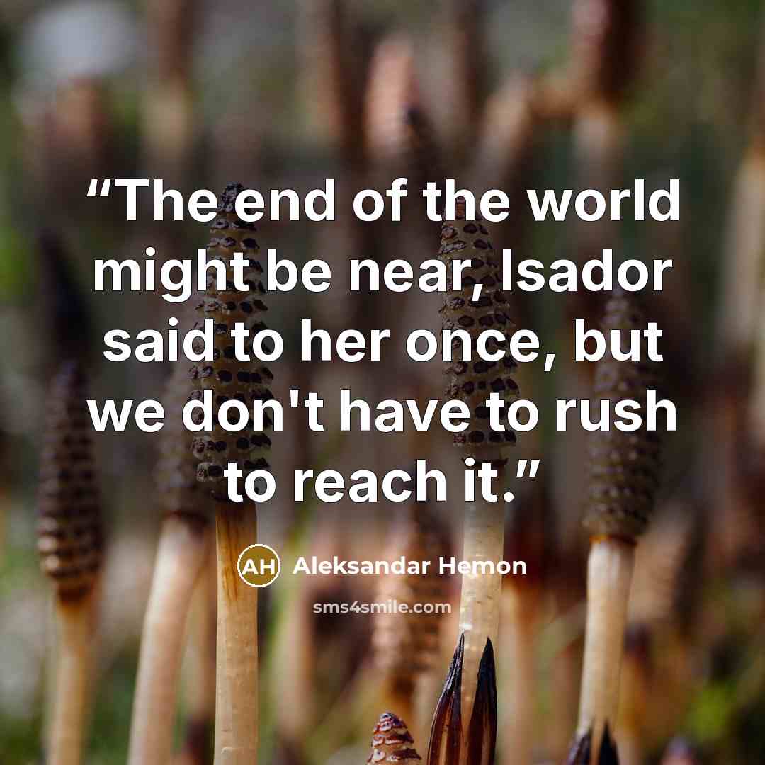 “The end of the world might be near, Isador said to her once, but we don't have to rush to reach it.” quote by Aleksandar Hemon
