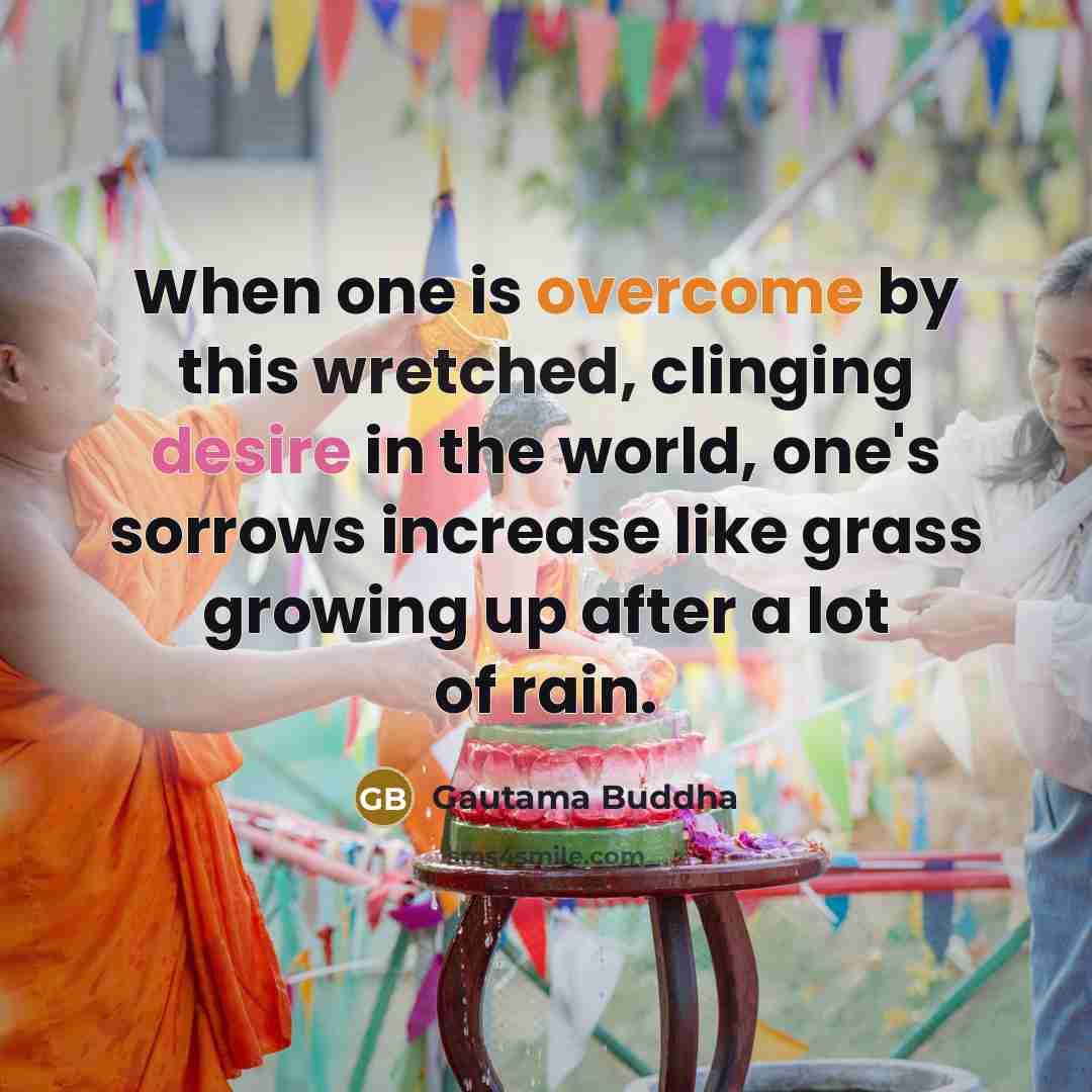 “When one is overcome by this wretched, clinging desire in the world, one's sorrows increase like grass growing up after a lot of rain.” quote by Gautama Buddha