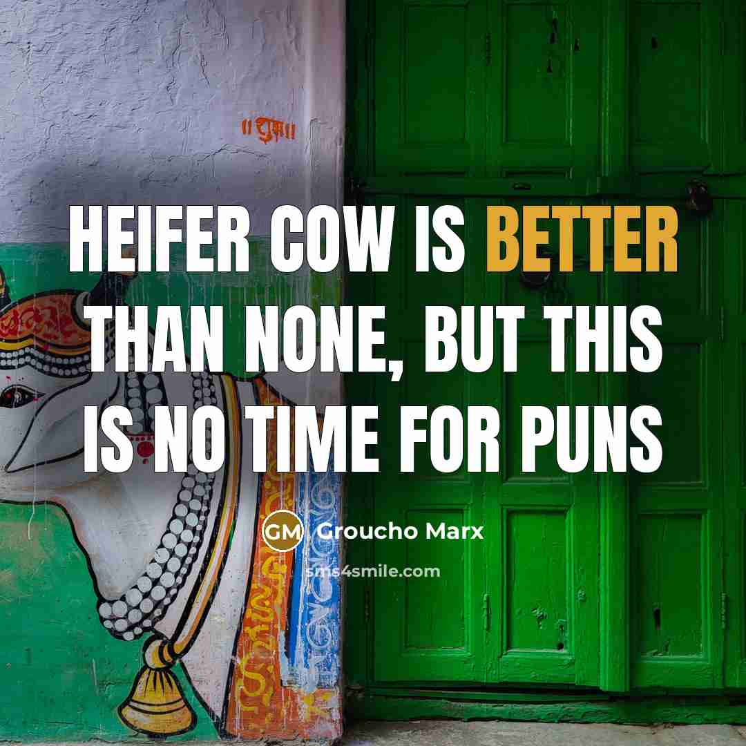 “Heifer cow is better than none, but this is no time for puns” quote by Groucho Marx