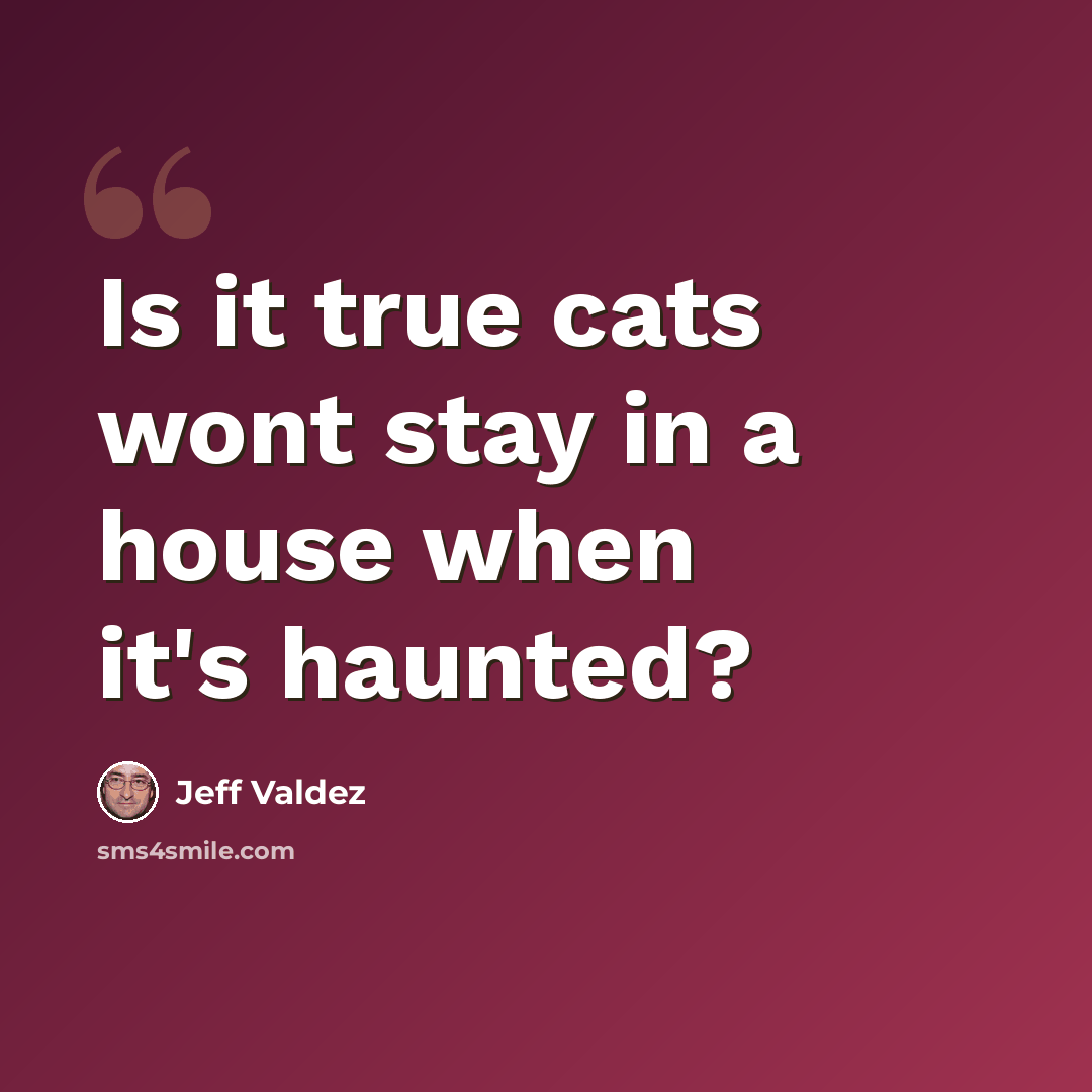 “Is it true cats wont stay in a house when it's haunted?” quote by Jeff Valdez