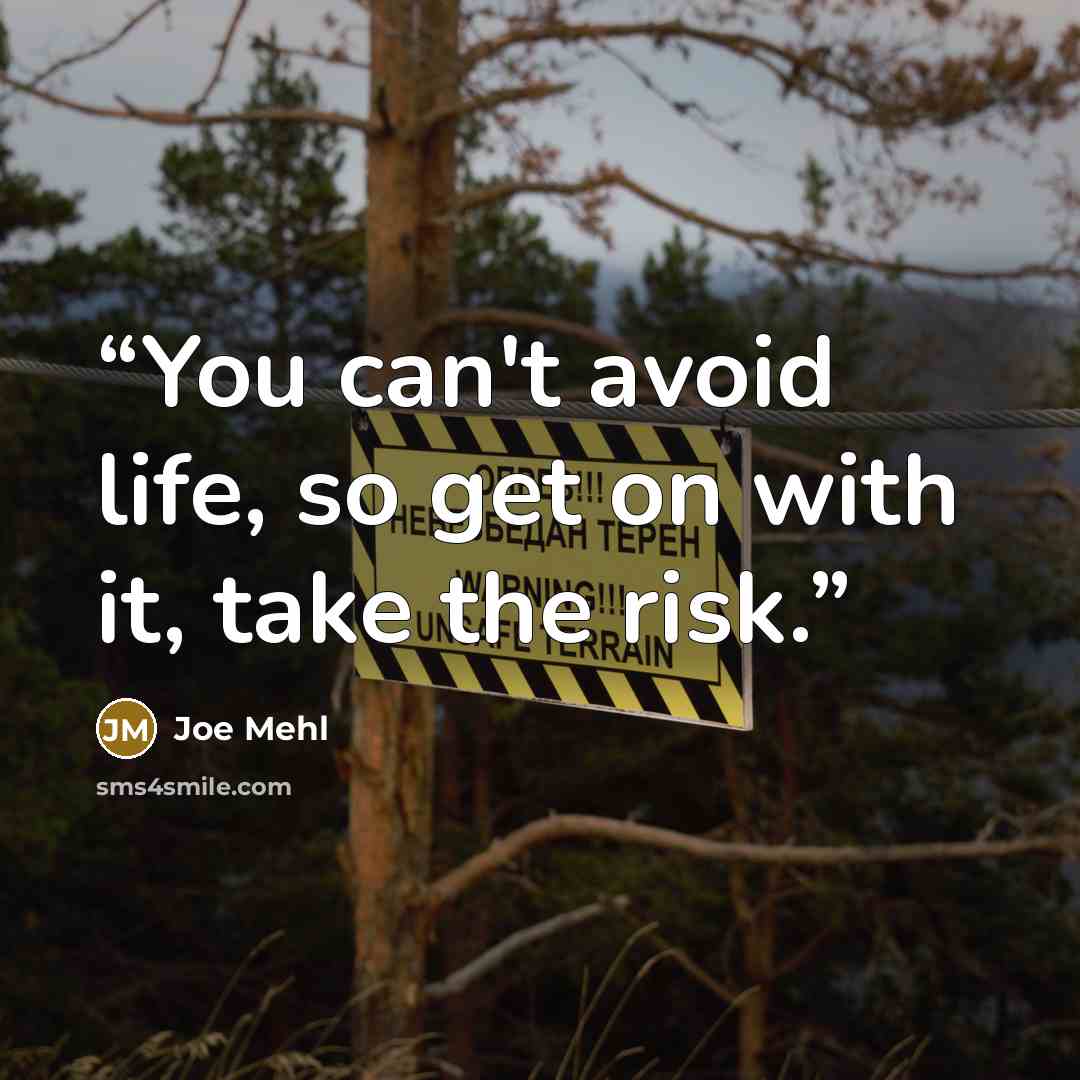 “You can't avoid life, so get on with it, take the risk.” quote by Joe Mehl