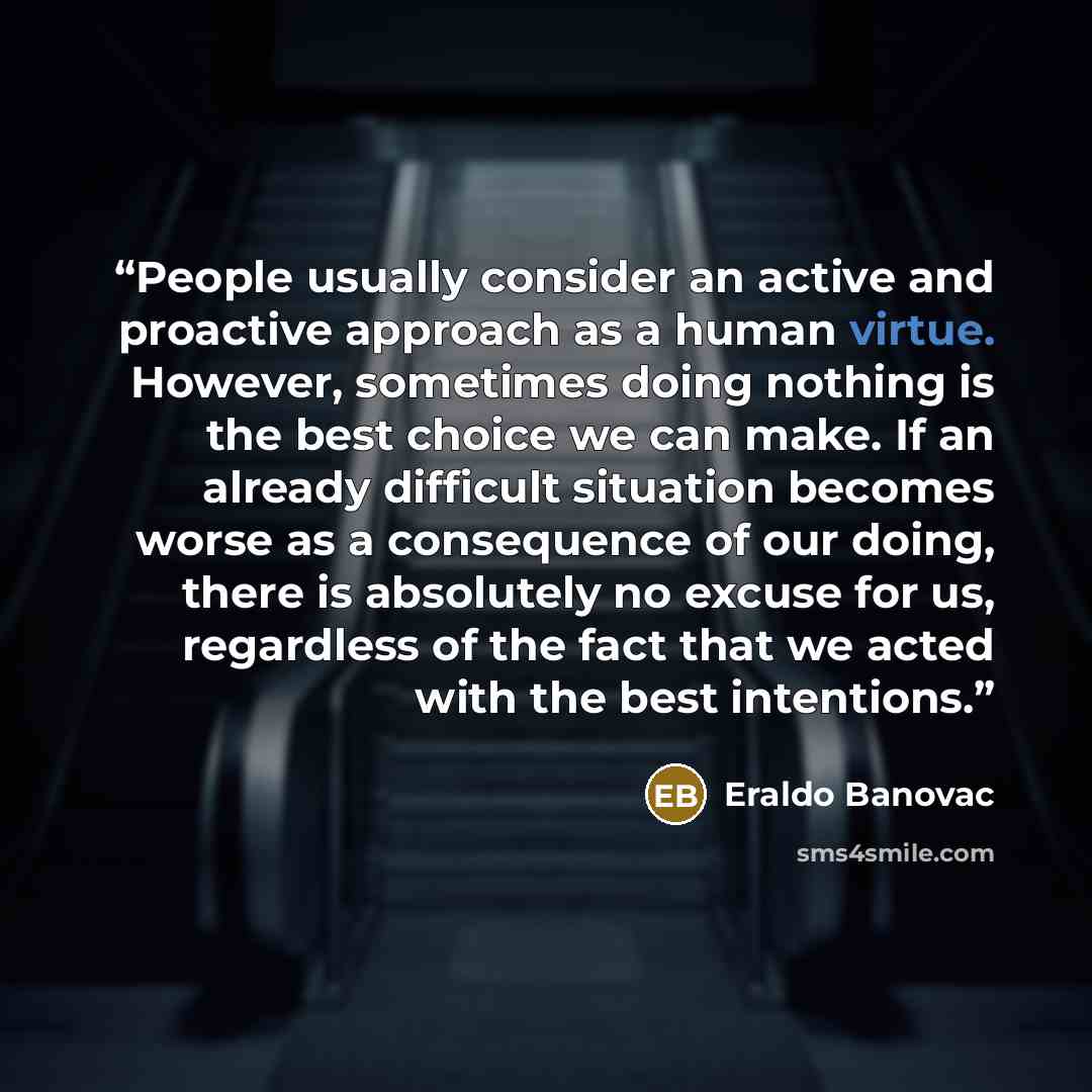 “People usually consider an active and proactive approach as a human virtue. However, sometimes doing nothing is the best choice we can make. If an already difficult situation becomes worse as a consequence of our doing, there is absolutely no excuse for us, regardless of the fact that we acted…” quote by Eraldo Banovac