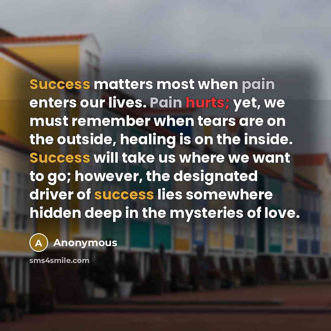 “Success matters most when pain enters our lives. Pain hurts; yet, we must remember when tears are on the outside, healing is on the inside. Success will take us where we want to go; however, the designated driver of success lies somewhere hidden deep in the mysteries of love.” quote by Anonymous