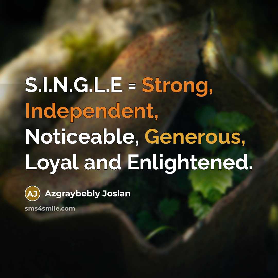 “S.I.N.G.L.E = Strong, Independent, Noticeable, Generous, Loyal and Enlightened.” quote by Azgraybebly Joslan