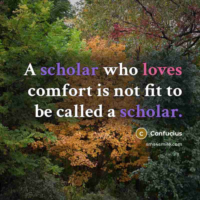 “A scholar who loves comfort is not fit to be called a scholar.” quote by Confucius