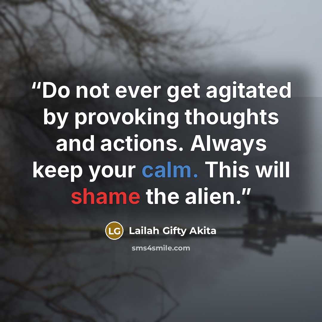 “Do not ever get agitated by provoking thoughts and actions. Always keep your calm. This will shame the alien.” quote by Lailah Gifty Akita