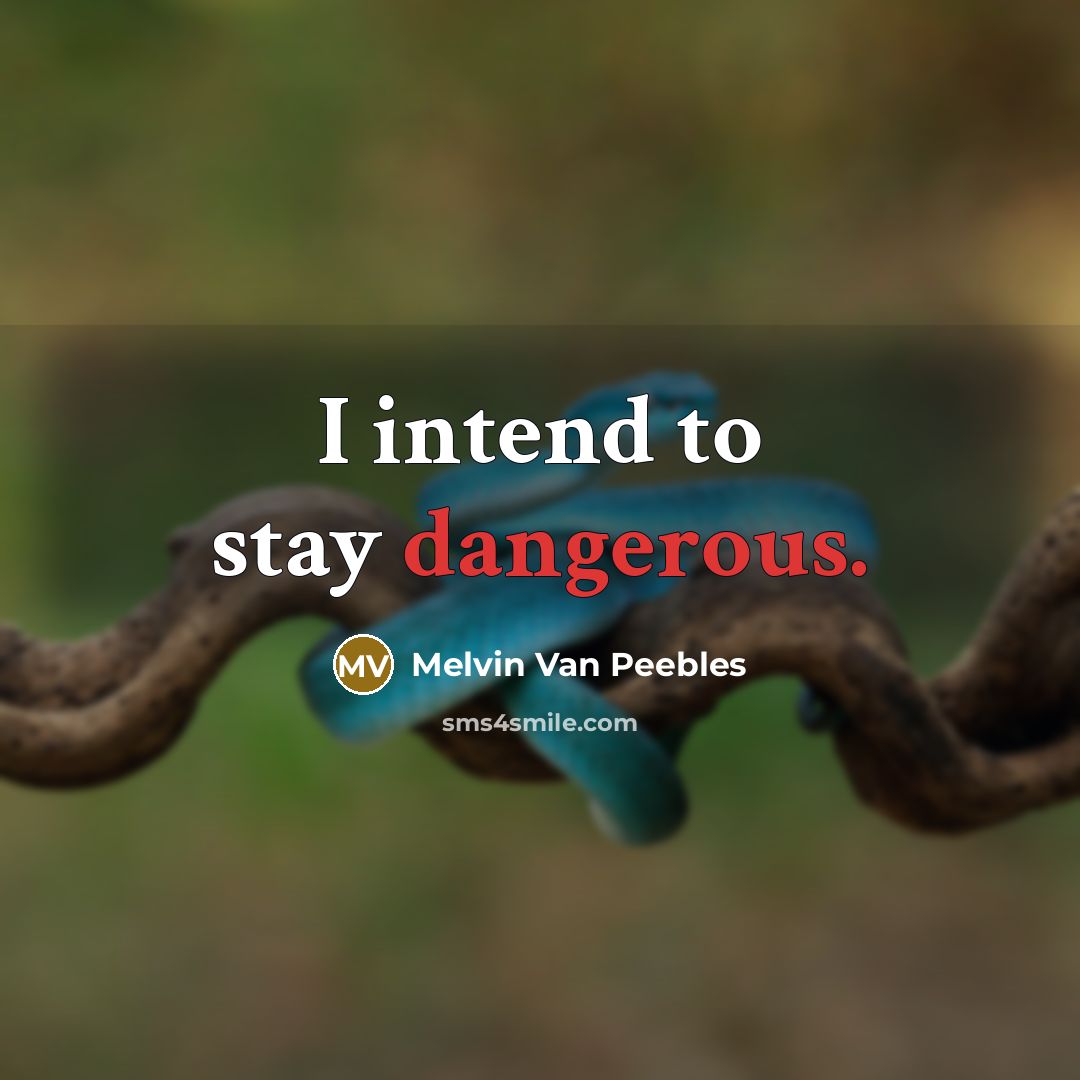 “I intend to stay dangerous.” quote by Melvin Van Peebles