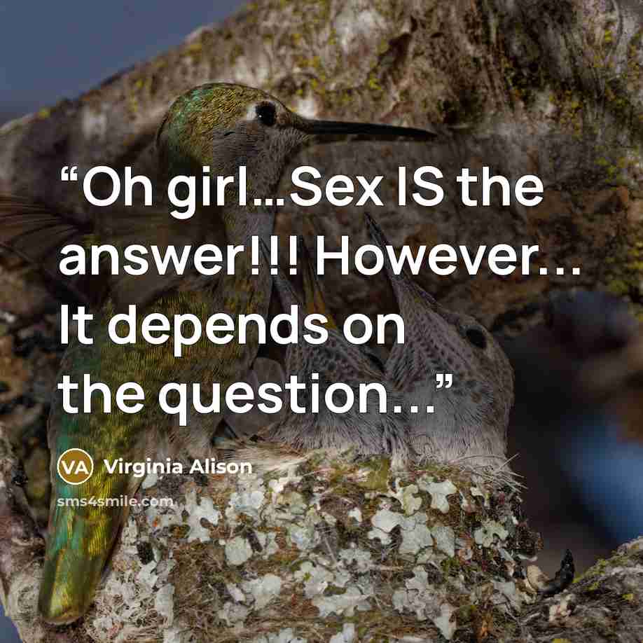 “Oh girl…Sex IS the answer!!! However... It depends on the question...” quote by Virginia Alison