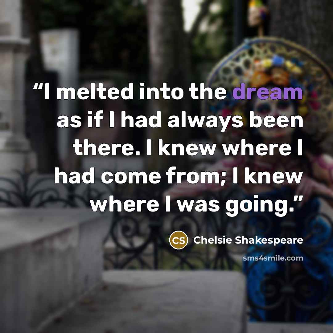 “I melted into the dream as if I had always been there. I knew where I had come from; I knew where I was going.” quote by Chelsie Shakespeare