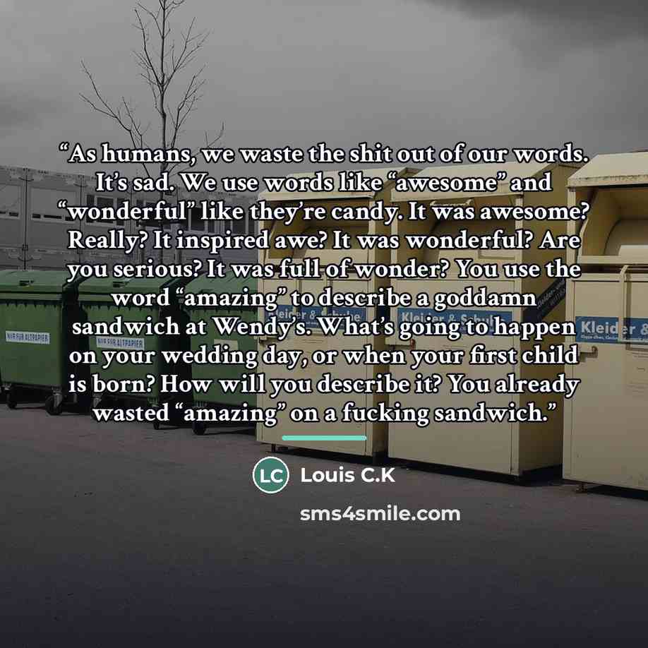 “As humans, we waste the shit out of our words. It’s sad. We use words like “awesome” and “wonderful” like they’re candy. It was awesome? Really? It inspired awe? It was wonderful? Are you serious? It was full of wonder? You use the word “amazing” to describe a goddamn sandwich at Wendy’s. What’s…” quote by Louis C.K