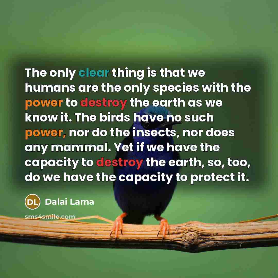 “The only clear thing is that we humans are the only species with the power to destroy the earth as we know it. The birds have no such power, nor do the insects, nor does any mammal. Yet if we have the capacity to destroy the earth, so, too, do we have the capacity to protect it.” quote by Dalai Lama